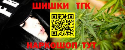 стаф Шебекино