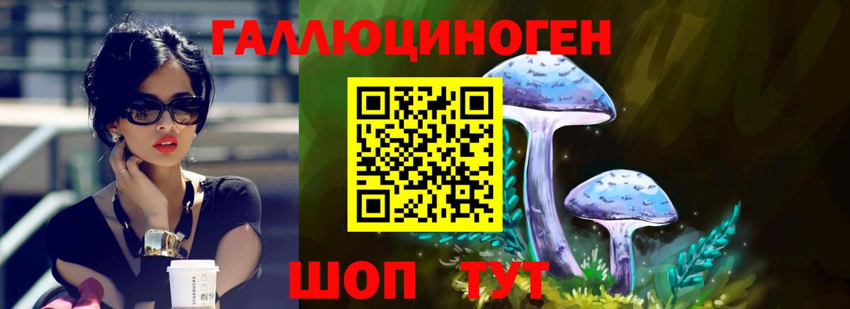 Псилоцибиновые грибы GOLDEN TEACHER Елизово